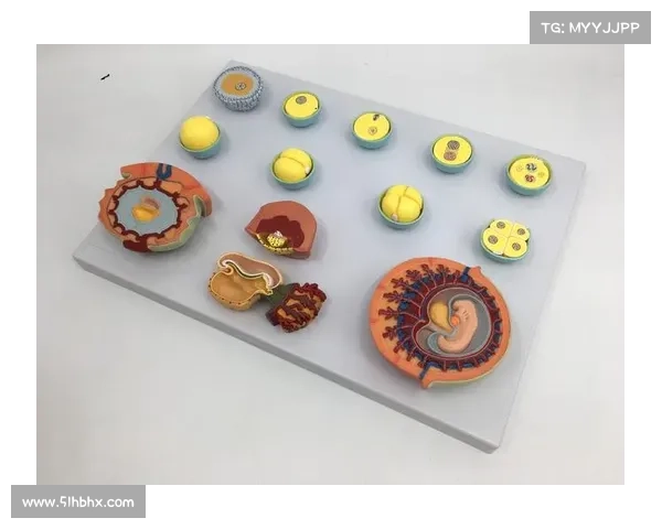 从海瑟尔关视角解析其与多支球队历史与竞技互动关系全景图谱展示