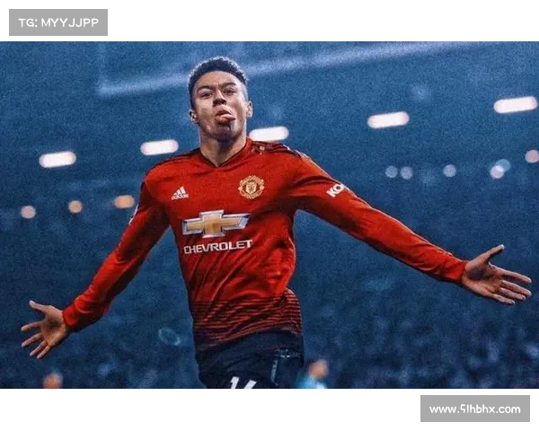 林加德调侃现象的成因与社会文化影响分析